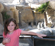 Zion at Santa Barbara Zoo